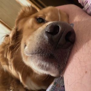 Meet your Posher, Shane